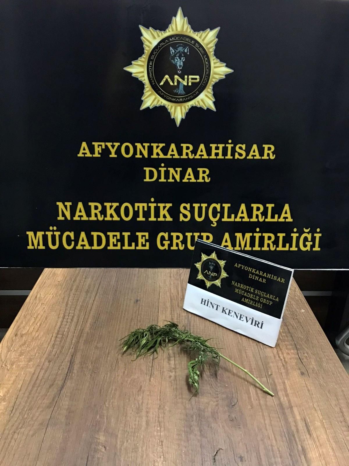 Son dakika haberleri... Ektiği tek keneviri esrara çeviremeden polise yakalandı
