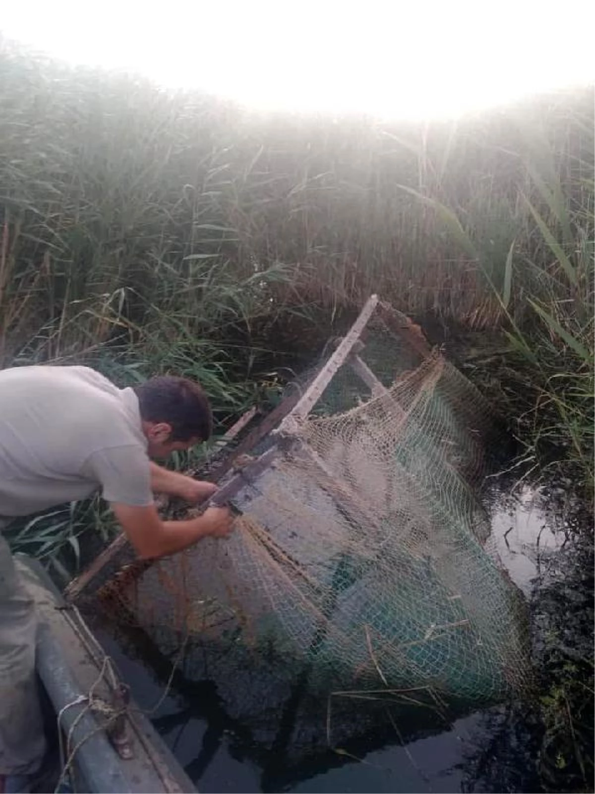 Enez\'de yasa dışı avcılıkta kullanılan ördek kafesleri imha edildi