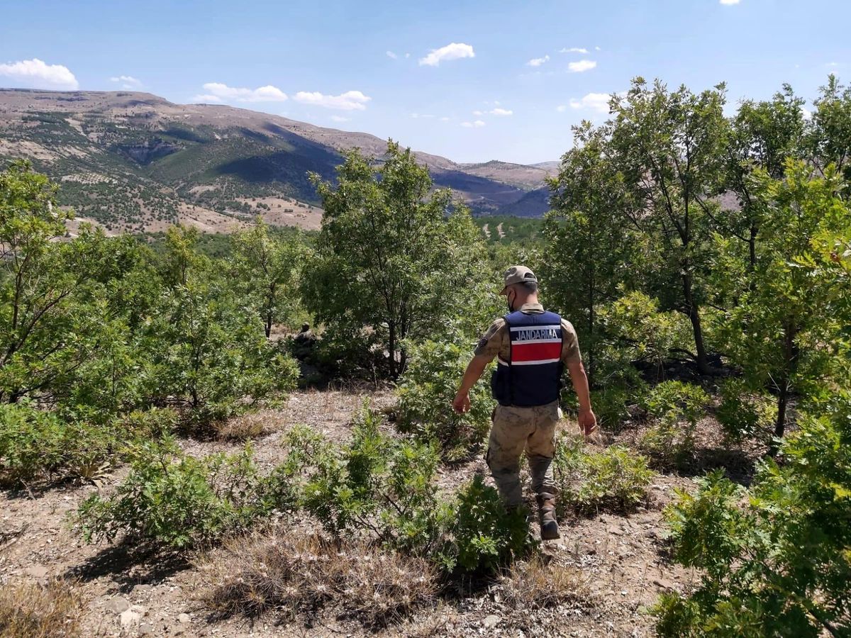 Son dakika! Jandarma\'dan ormanlara drone ile kontrol