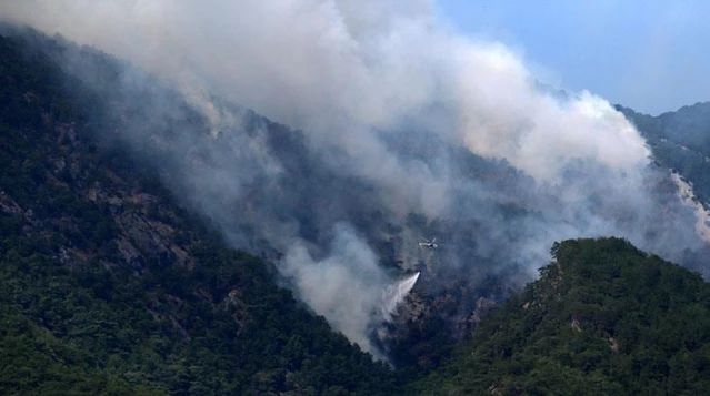 Kazdağları'nda çıkan orman yangını kontrol altına alındı! Bölgede soğutma çalışmaları devam ediyor
