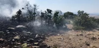 Konya'da makilik yangını