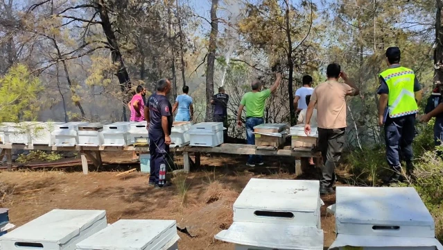 Manavgat'ta mezarlıkta çıkan yangın kontrol altına alındı