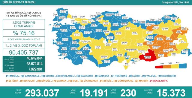 Son Dakika: Türkiye'de 24 Ağustos günü koronavirüs nedeniyle 230 kişi vefat etti, 19 bin 191 yeni vaka tespit edildi