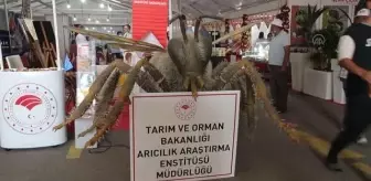 7. Tarım Hayvancılık ve Gıda Fuarı açıldı