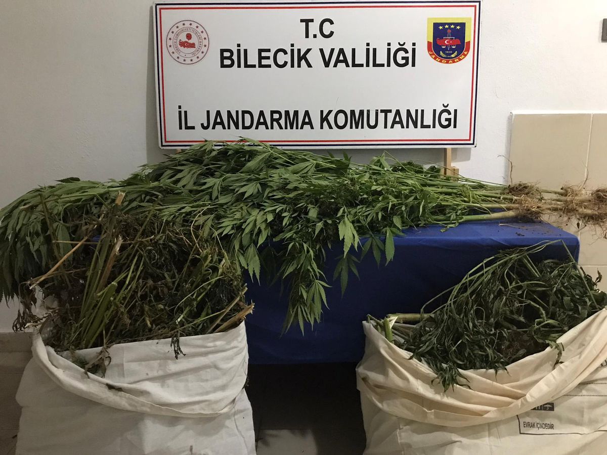Bilecik\'te uyuşturucu operasyonunda yakalanan şüpheli tutuklandı