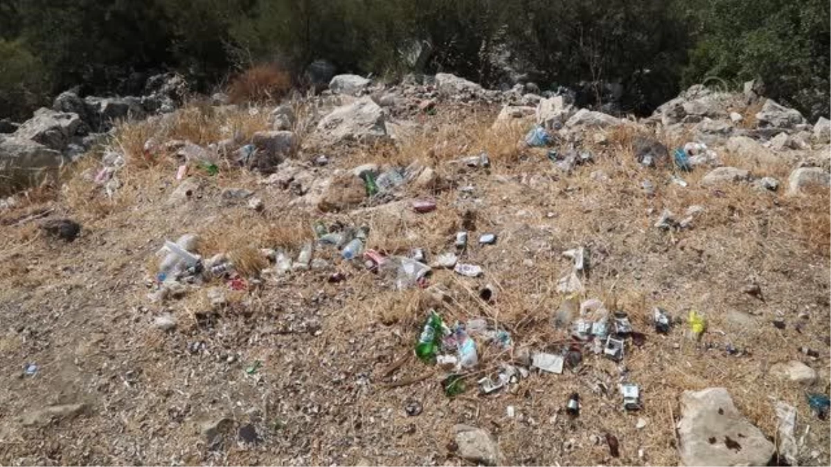 Bodrum\'da sahil ve yol kenarlarında yapılan çevre temizliğinde 1 ton atık toplandı