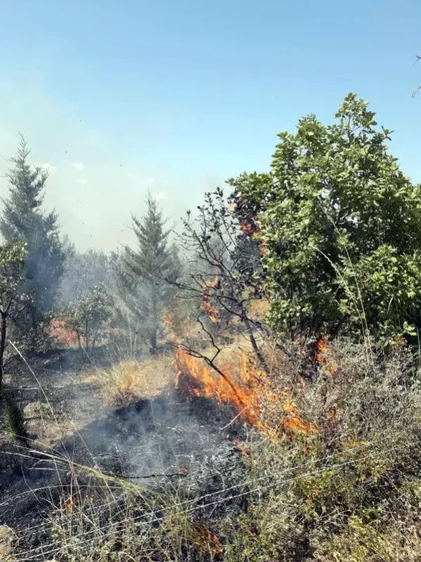 Edirne'de ATV aracındaki yangın ormana sıçradı