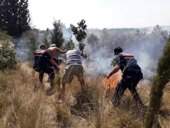 Edirne'de ATV aracındaki yangın ormana sıçradı