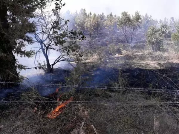 Edirne'de ATV aracındaki yangın ormana sıçradı