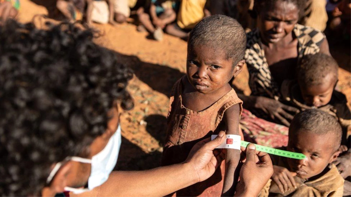 İklim krizi: BM\'ye göre Madagaskar dünyada iklim değişikliği sonucu açlık görülen ilk ülke olmak üzere