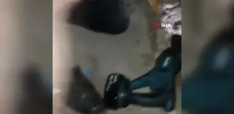 Son Dakika | Kanalizasyon gider borusuna sıkışan yavru kediyi itfaiye kurtardı