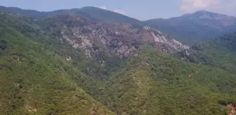 Kazdağı Milli Parkı'nda yanan alanlar havadan görüntülendi