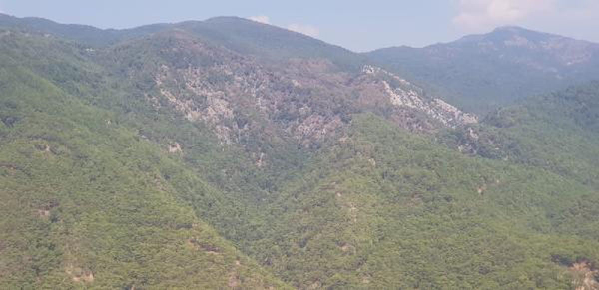 Kazdağı Milli Parkı'nda yanan alanlar havadan görüntülendi