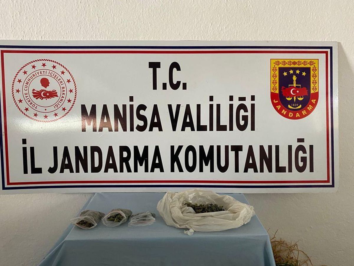 Manisa\'da bir evin bahçesinde 30 kök Hint keneviri ele geçirildi