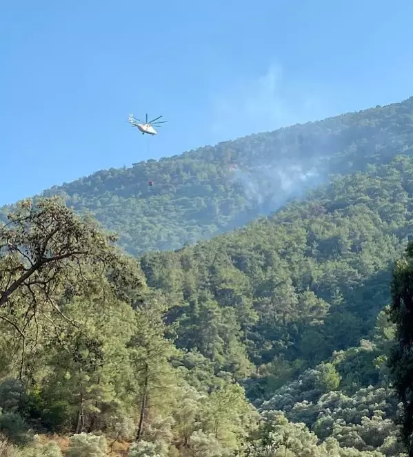 Milas'ta orman yangını büyümeden kontrol altına alındı