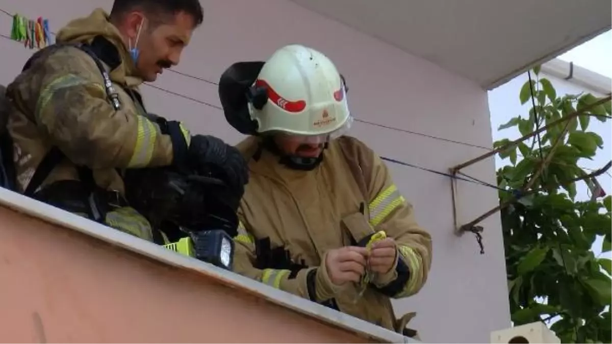 PENDİK\'TE İTFAİYECİLERİN ÇABASI MUHABBET KUŞLARINI KURTARMAYA YETMEDİ