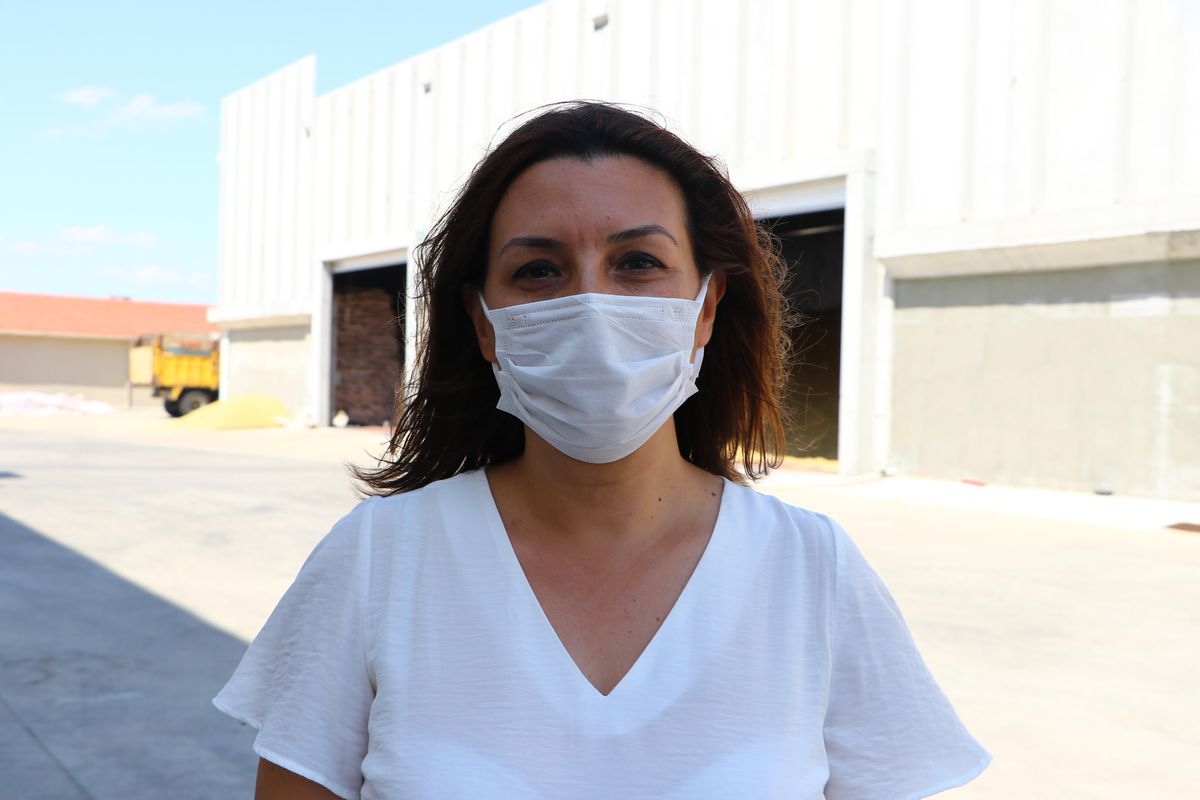 "Sarı cücelik" hastalığının önlenmesiyle tahıllarda kalite ve verim arttı
