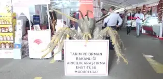 TARIM FUARININ İLGİ ODAĞI ELEKTRİKLİ TRAKTÖRLER OLDU