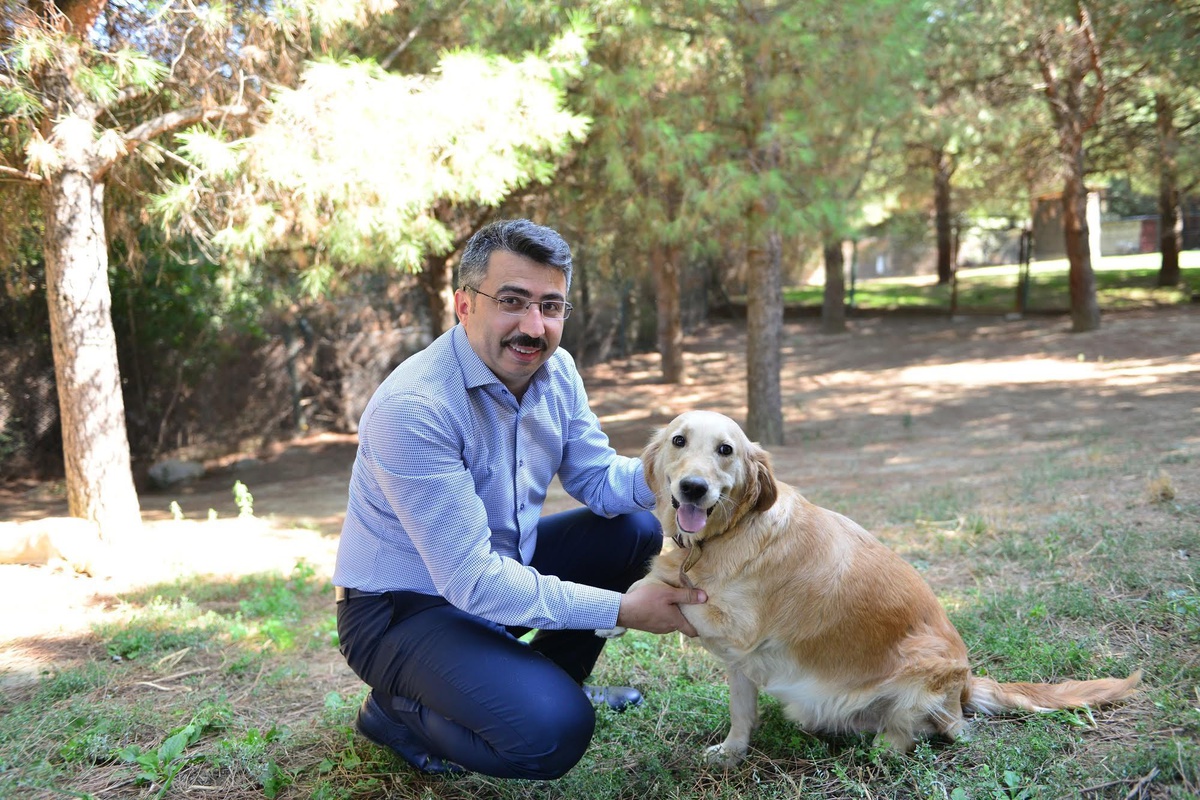 Yıldırım Belediyesi, ilçedeki sokak hayvanlarına şefkat elini uzatıyor