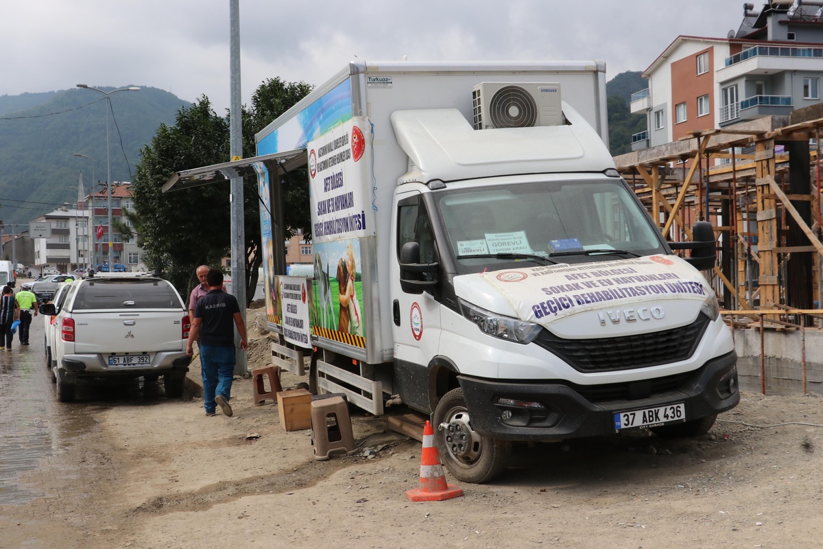 Bozkurt\'ta selden etkilenen hayvanların bakımını "mobil veteriner" yapıyor