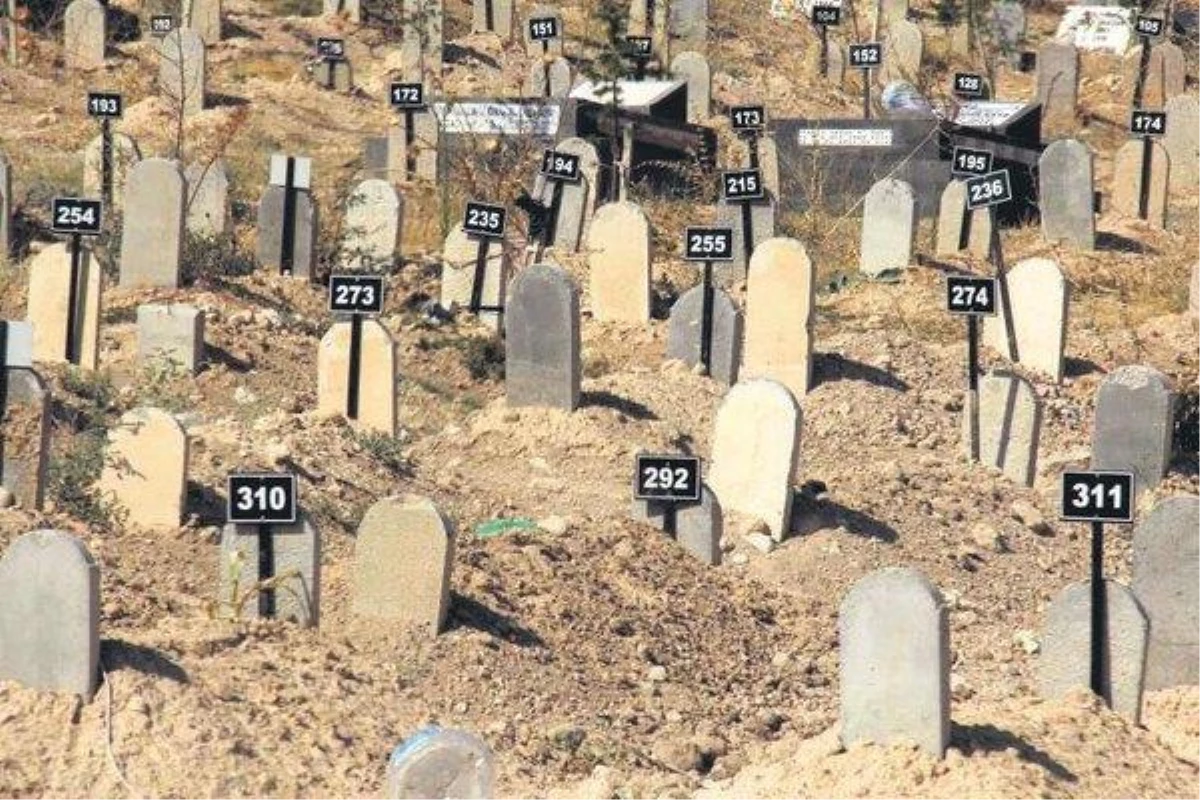 261 terör örgütü üyesinin cesetleri Bitlis\'te bulundu