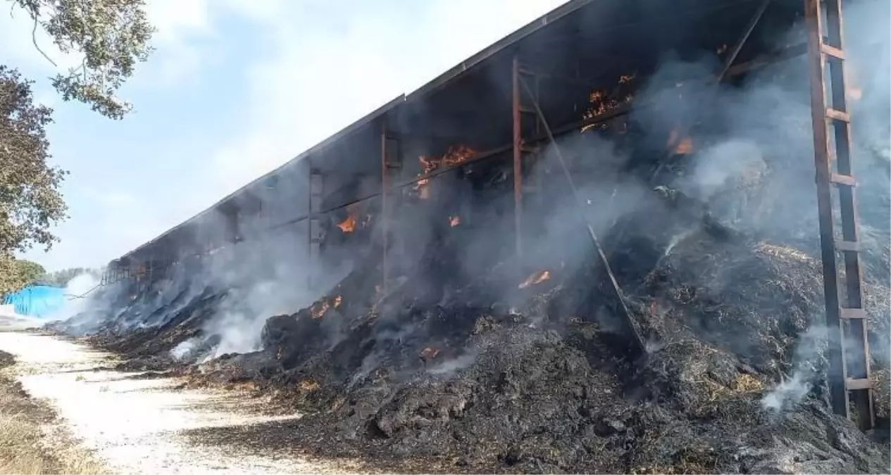 Tekirdağ\'da 4 bin saman balyası yandı