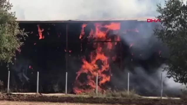 TEKİRDAĞ'DA SAMAN DEPOSUNDA YANGIN