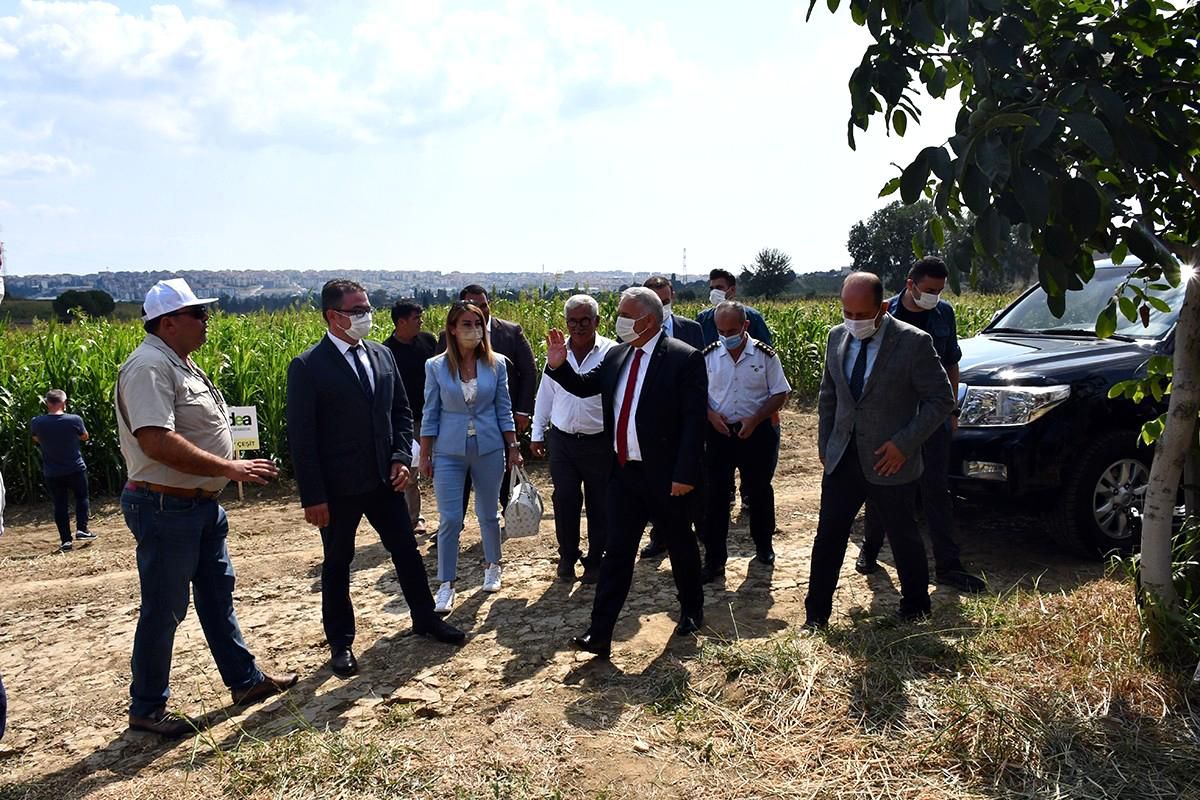 Tekirdağ\'da silajlık sorgum tarla günleri düzenlendi