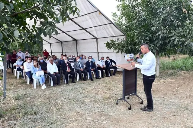 Tekirdağ'da silajlık sorgum tarla günleri düzenlendi