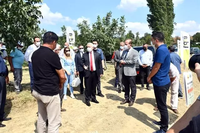 Tekirdağ'da silajlık sorgum tarla günleri düzenlendi