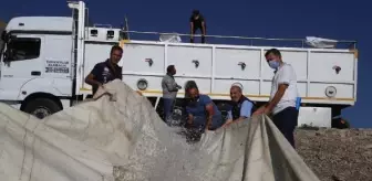 Van'da 14 göl ve barajda balıklandırma çalışması