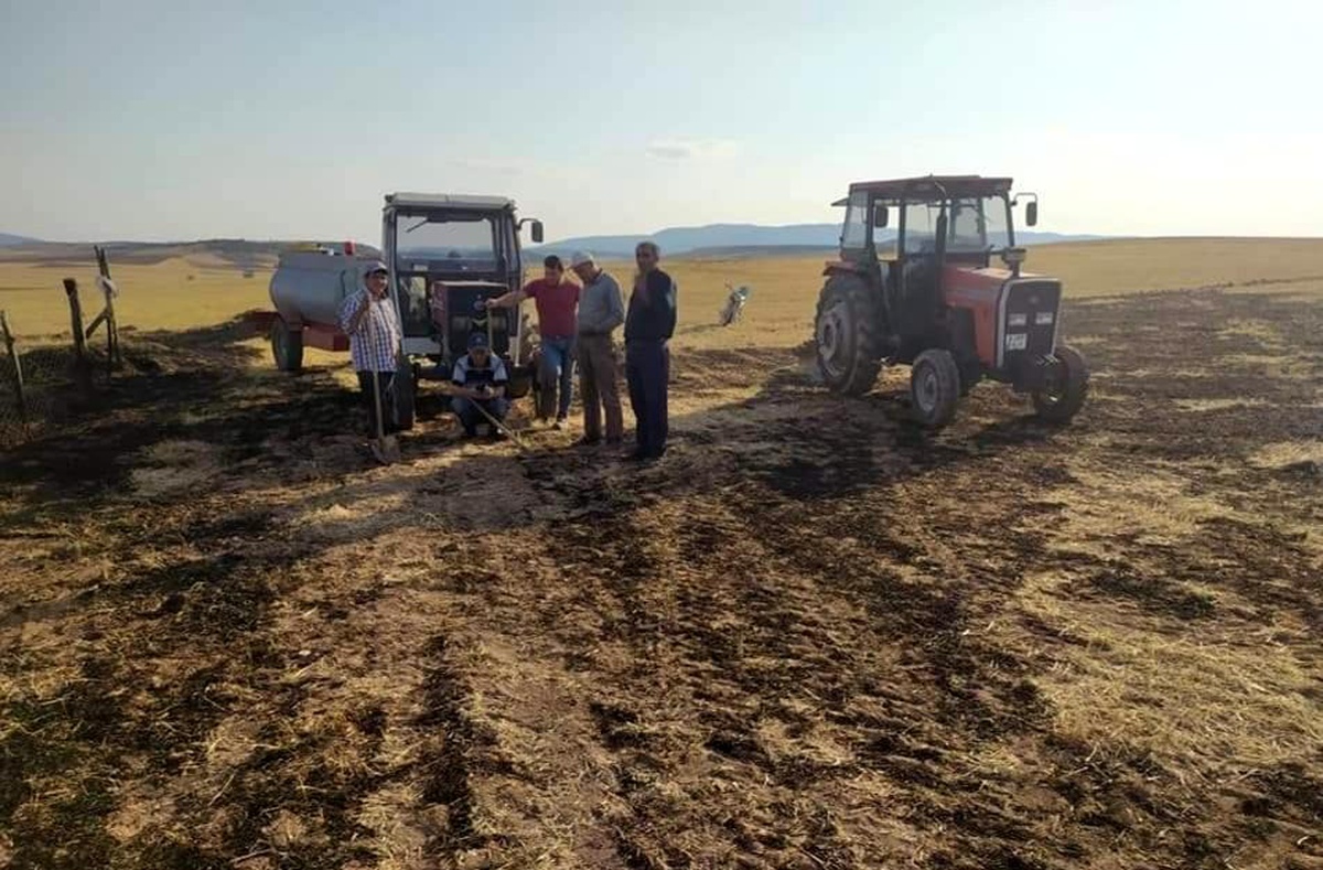 Yüksek gerilim hattına çarpan kuş yangın çıkarttı