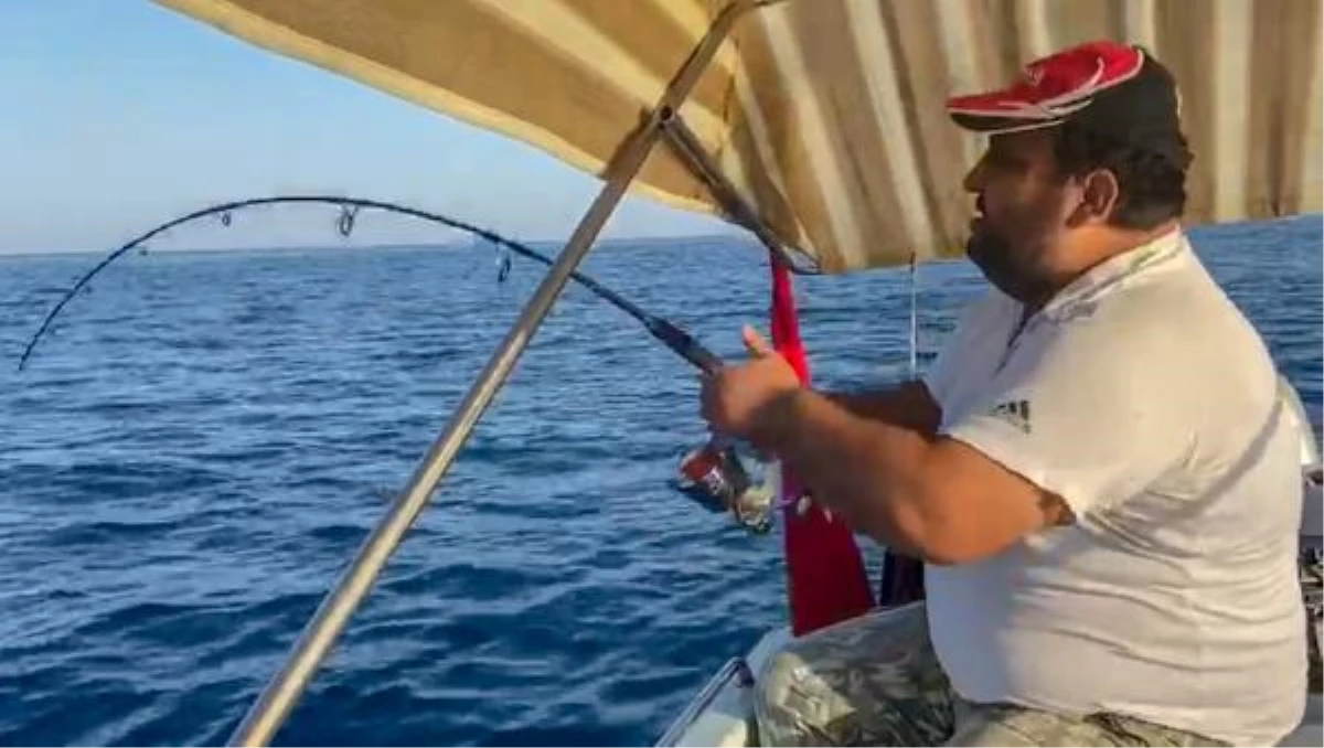Amatör balıkçı, şanslı günündeydi! Yakaladığı 30 kiloluk kuzu balığını tekneye yarım saatte çıkartabildi
