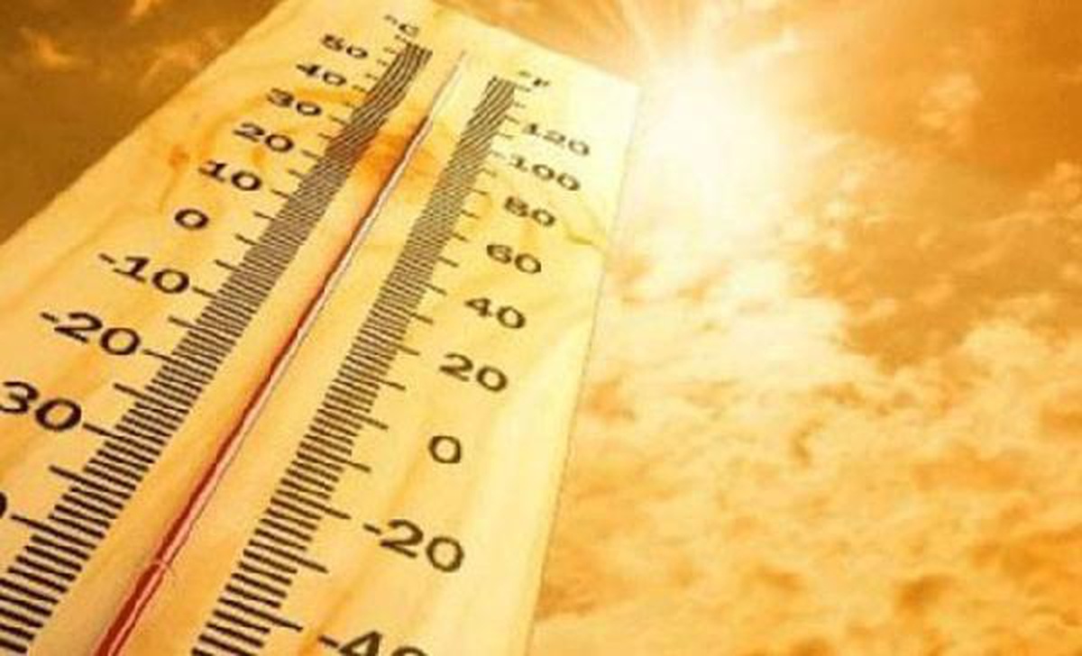 Aşırı sıcağın etkili olduğu 101 gün için 20 kritik uyarı