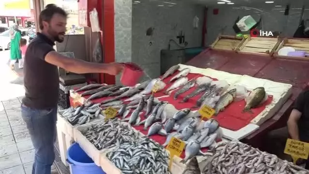 Balıkçıların umudu hamsi tezgahlardaki yerini aldı Balıkçıların umudu hamsi tezgahlardaki yerini aldı