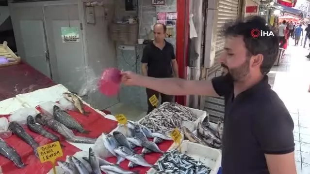 Balıkçıların umudu hamsi tezgahlardaki yerini aldı Balıkçıların umudu hamsi tezgahlardaki yerini aldı