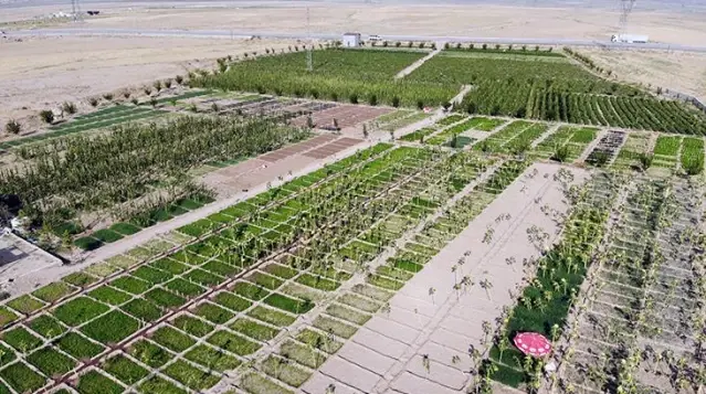 Türkiye-İran sınırındaki çorak arazide tonlarca meyve ve sebze yetiştiriliyor Türkiye-İran sınırındaki çorak arazide tonlarca meyve ve sebze yetiştiriliyor
