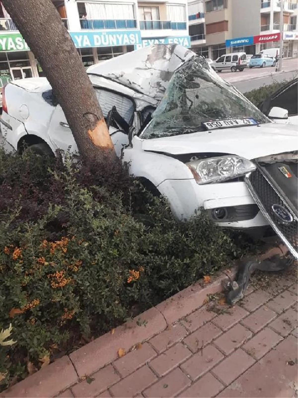Otomobil, refüjdeki ağaca çarptı; sözleşmeli er hayatını kaybetti