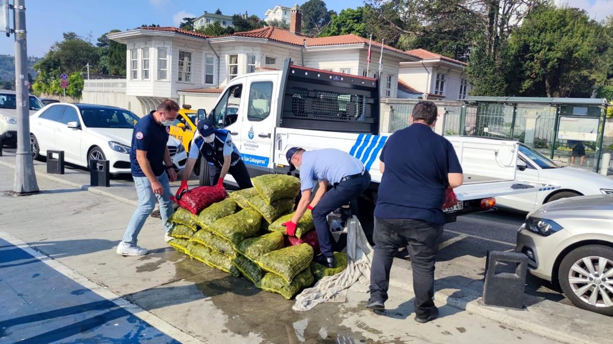 Sarıyer\'de kaçak midye avcılarına baskın: "11 bin 885 TL para cezası