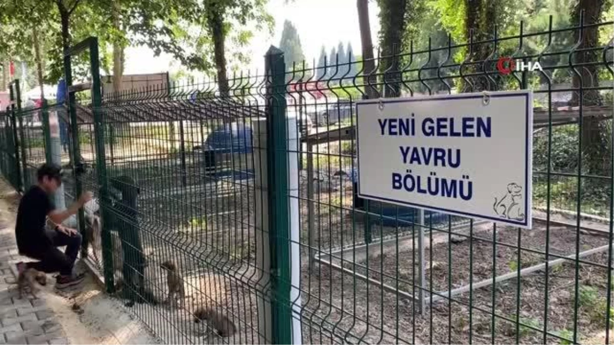 Sokak hayvanlarının yeni yuvası törenle açıldı