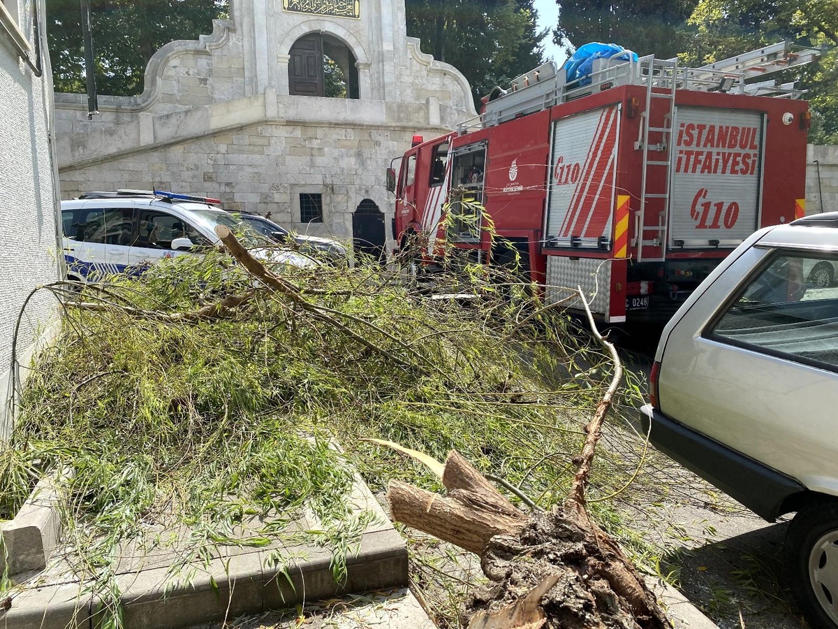 Üsküdar\'da kökü çürüyen söğüt ağacı otomobil üzerine devrildi