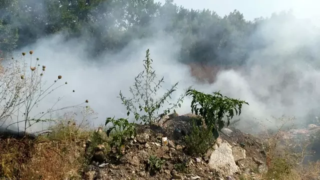 Yeşil alandaki yangın fabrikaya ulaşmadan söndürüldü