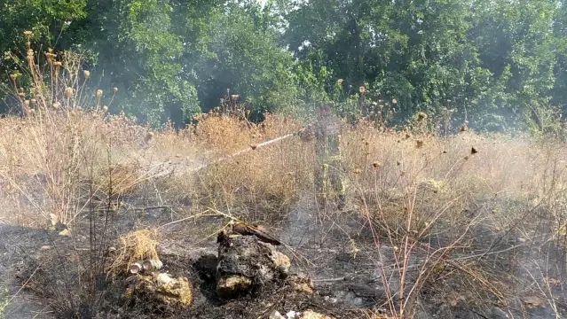 Yeşil alandaki yangın fabrikaya ulaşmadan söndürüldü