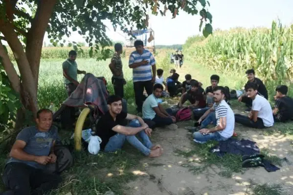 Afganistanlı göçmenler, 'Yunanistan sınır kapılarını açtı' söylentisi üzerine Edirne'ye akın etti