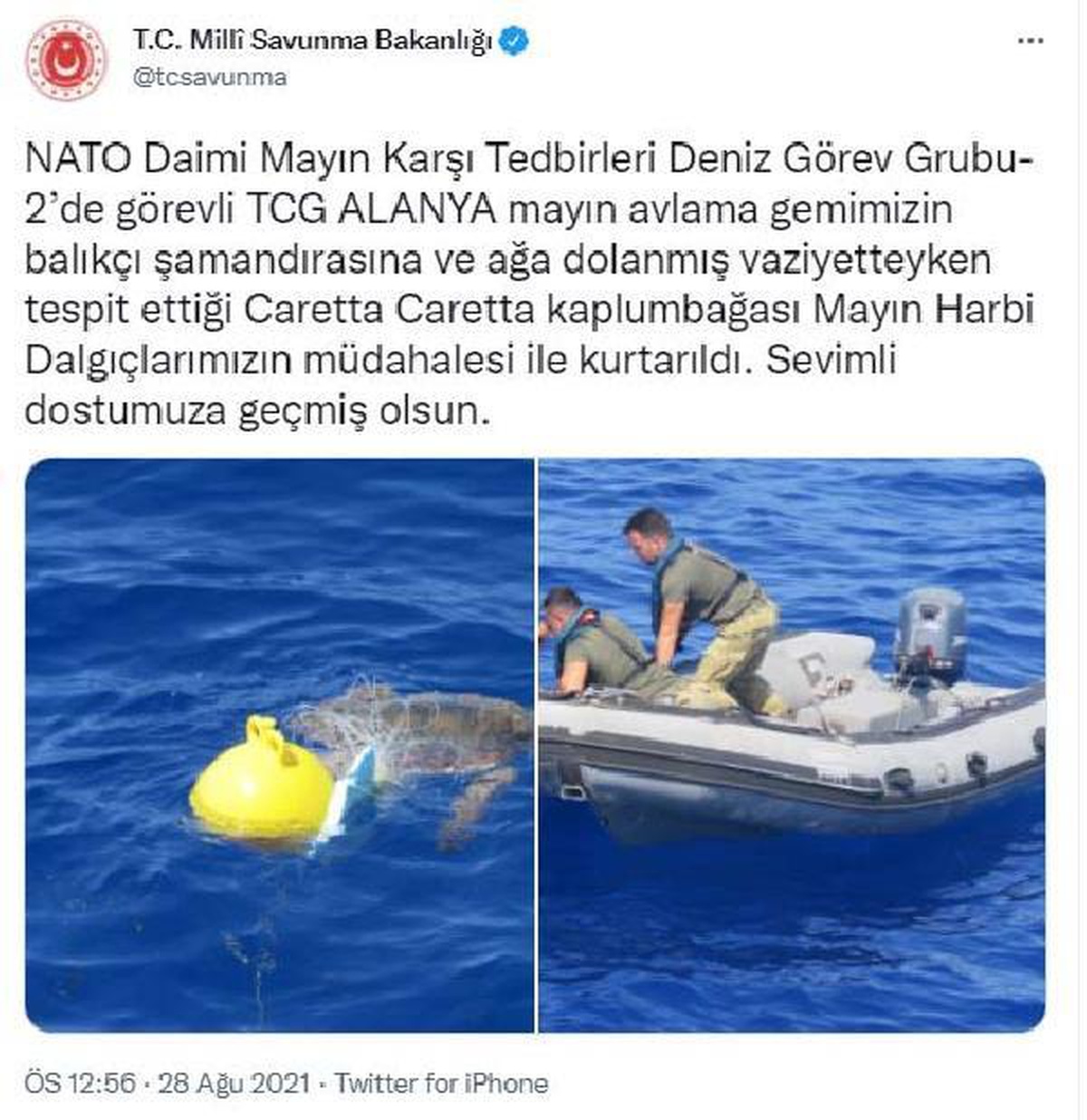 Ağa dolanmış caretta carettayı Mehmetçik kurtardı
