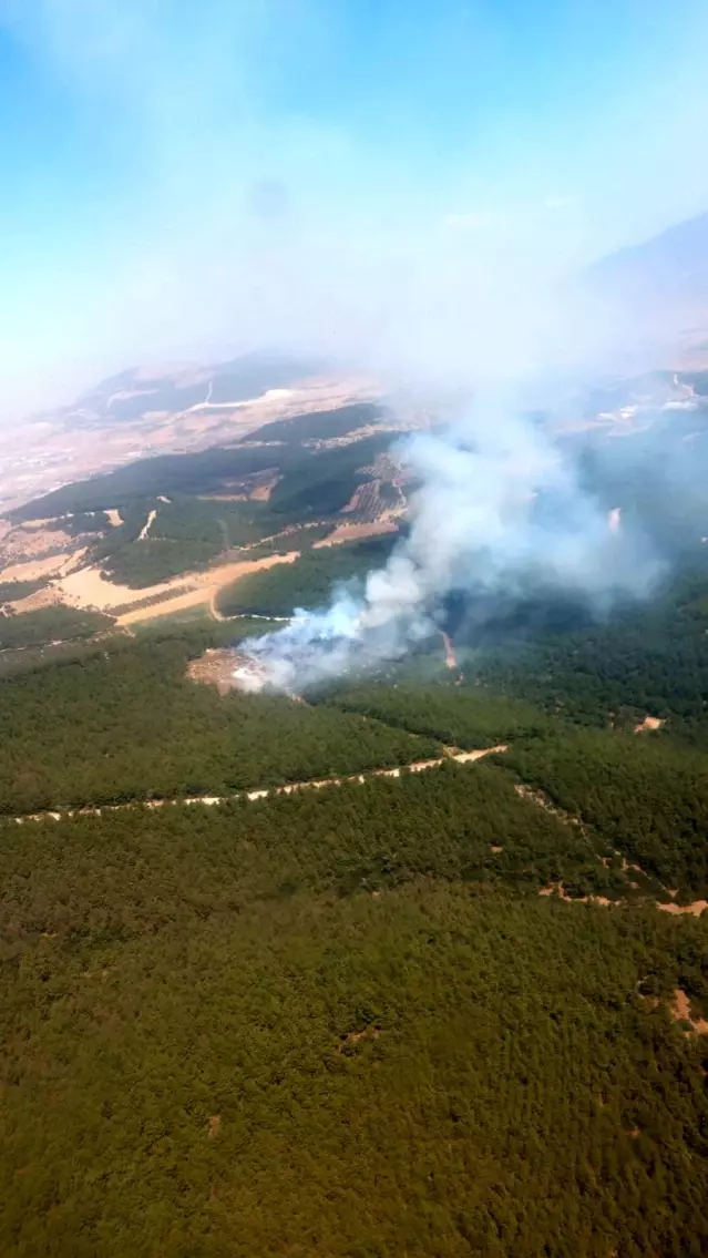 Son dakika haberleri | Foça'da orman yangını