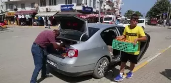 KASTAMONU - Ormandan topladığı mantarı afet mağduru öğrenciler için satıyor