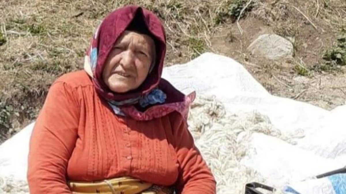 Mantar zehirlenmesi sonucu 1 kişi öldü, 6 kişi yaralı