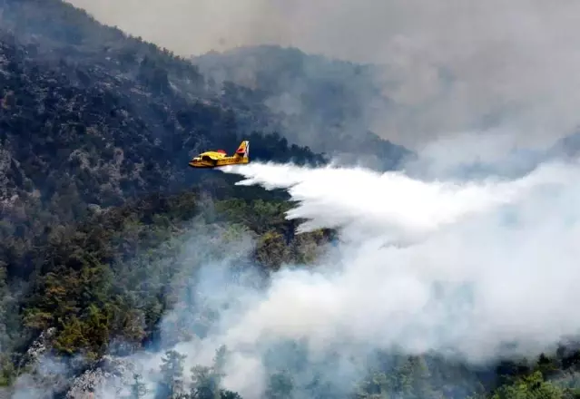 Orman yangınlarında 6 uçak 39 helikopter görev aldı