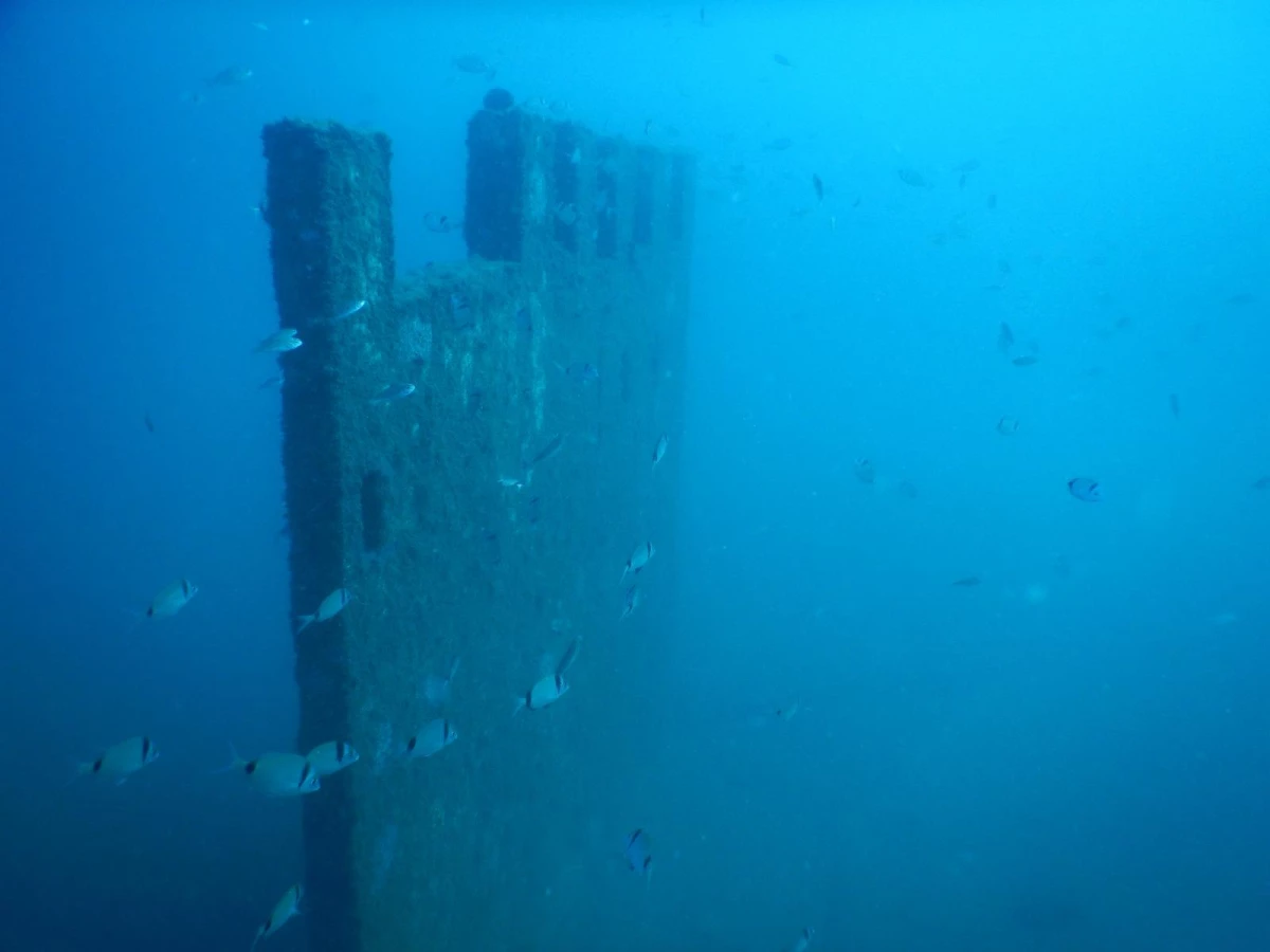 Saros Körfezi\'nde su altında oluşturulan "Enez Tarihi Müzesi" balıklara yuva oldu